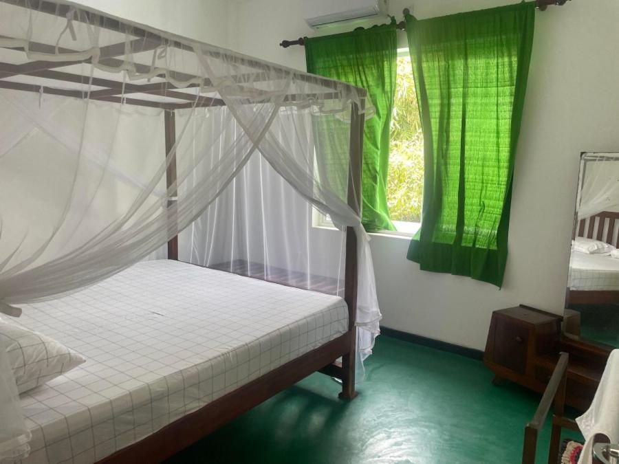 Why Not Backpackers Mirissa Exterior photo
